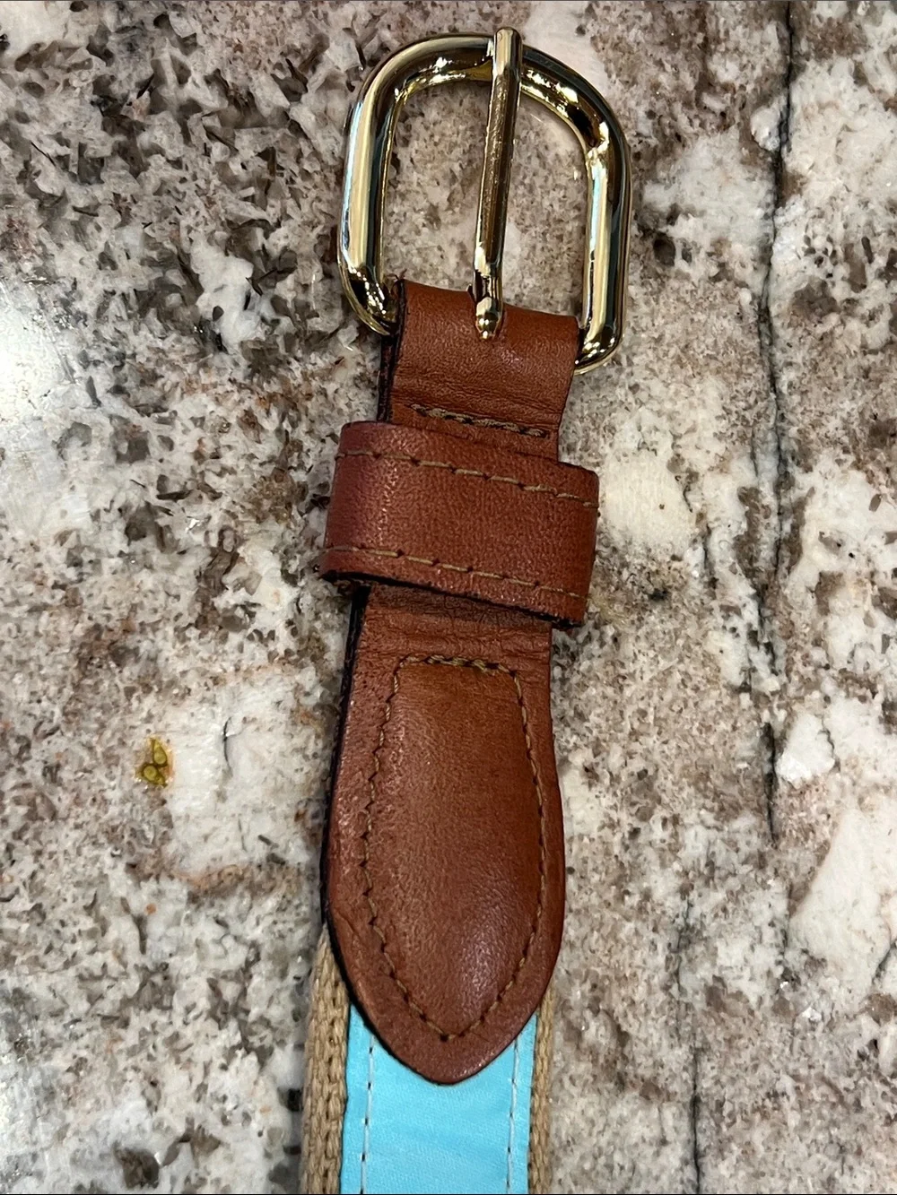Men's Blue Fish-Print Webbing Belt with Brown Leather Trim